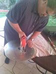 IMG_20110821_154831