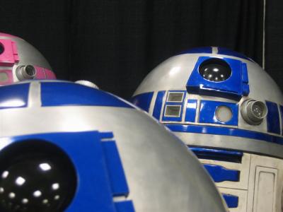 IMG_6245